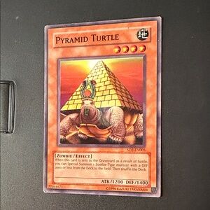 Pyramid Turtle Trading Card - Orange Artwork